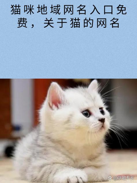 猫咪地域网名入口贴吧图标