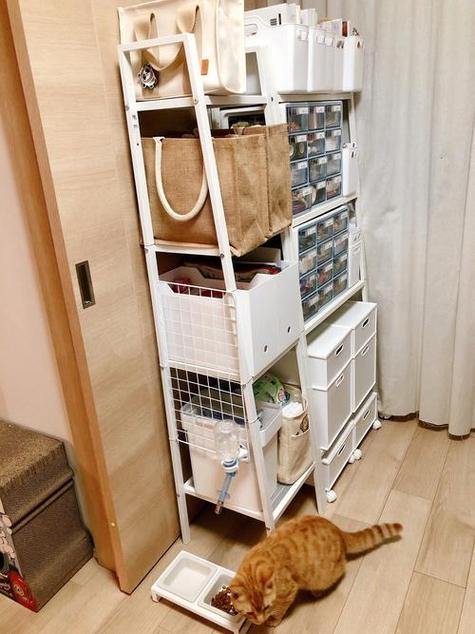 船上的猫怎么收起来缩略图