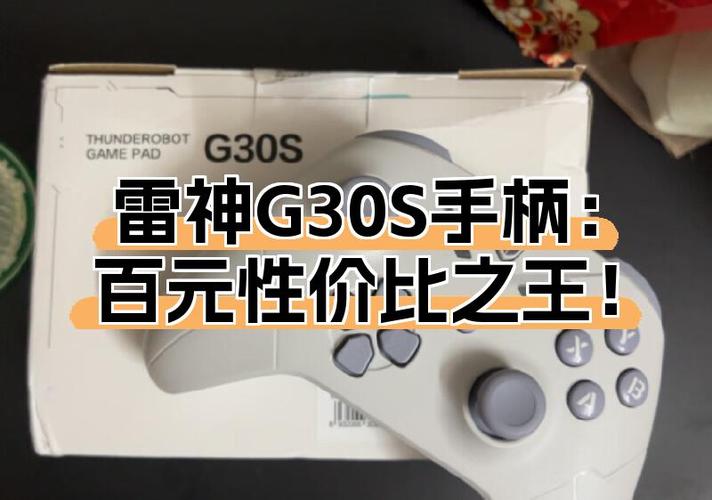 雷神手柄g30说明书图标