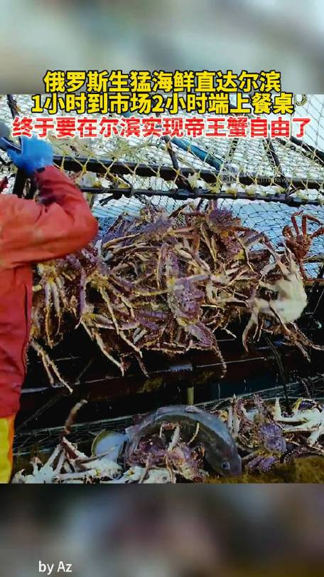 离我最近海鲜批发市场