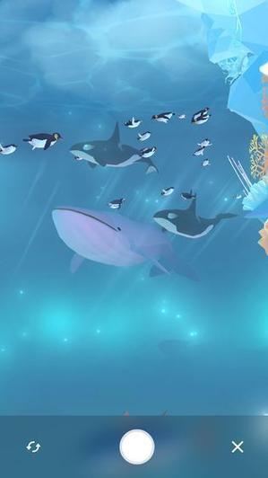 金多多水族馆是不是真的图标