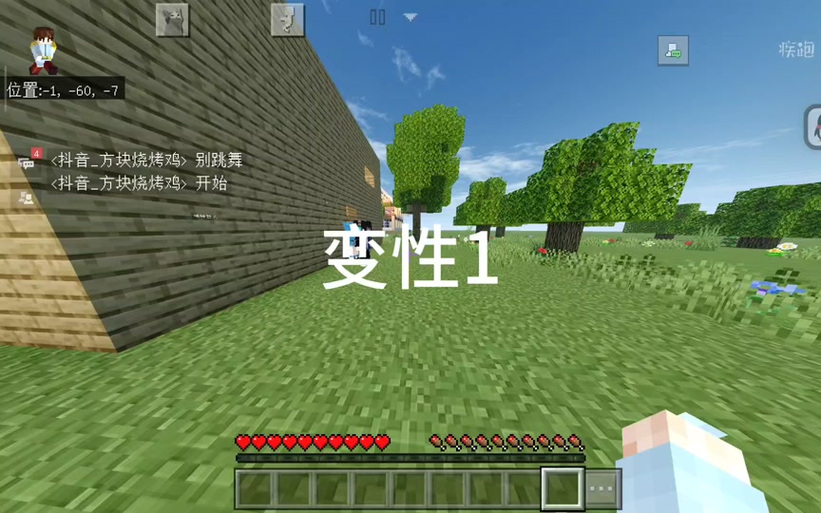 变性手术(我的世界)