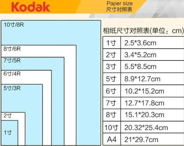 1寸电子版照片尺寸大小图标
