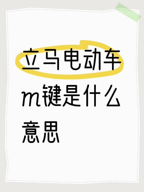 立马电动车P/M按键是什么意思缩略图