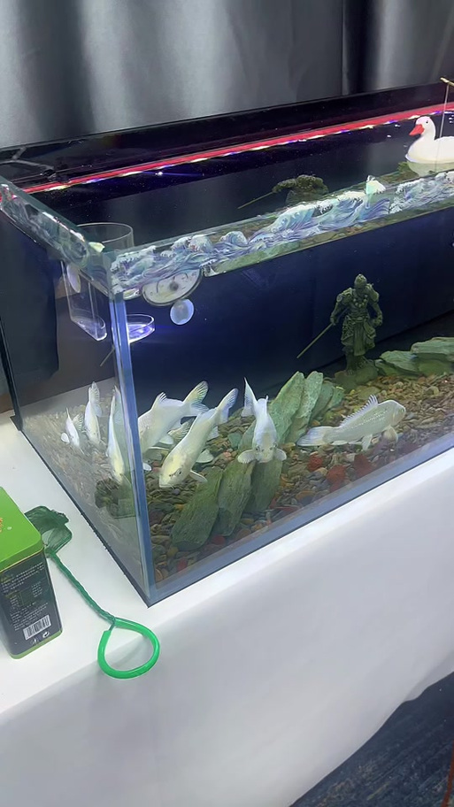 超白玻璃鱼缸的优缺点缩略图