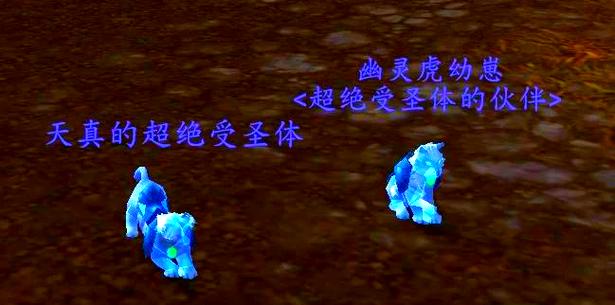 魔兽rpg宠物小精灵防御战攻略