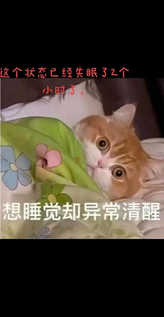 躺着睁眼到天亮的表情包缩略图