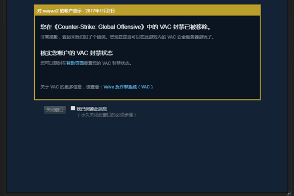 csgo无法加入vac安全缩略图