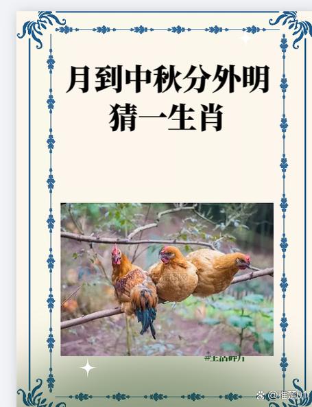 月作明灯夜夜光打一正确答案生肖