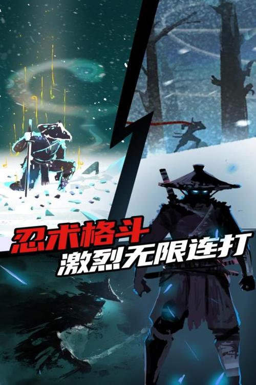 忍者岚1中文版下载图标