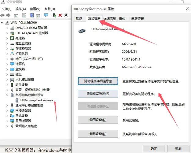 电脑鼠标中间滚轮点击没反应
