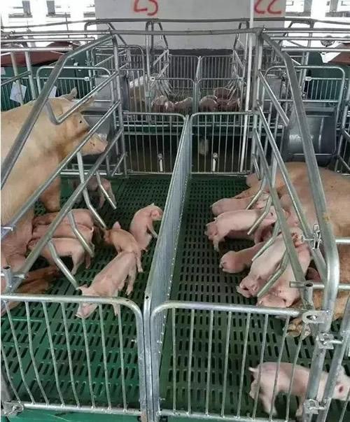 母猪产床水嘴安装方法