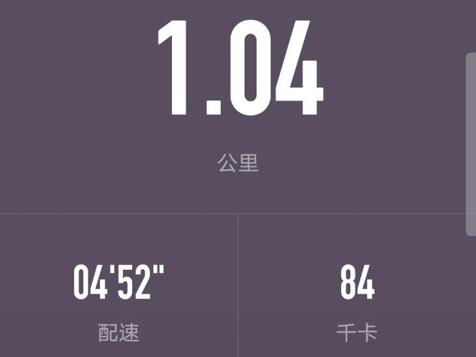 如何查看2km跑步截图图标