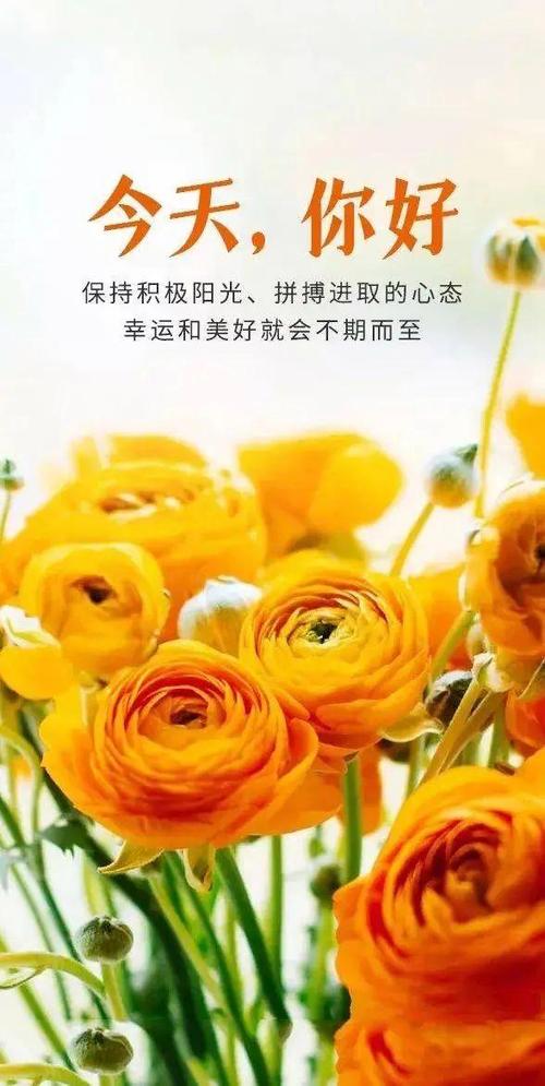 朋友圈干净简短好句子缩略图
