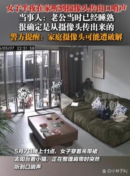 摄像头在客厅,卧室说话能听到吗缩略图