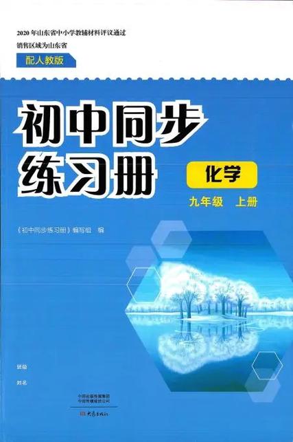 九年级化学同步训练电子版图标