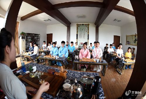 studytv.cn cctv中学生频道缩略图