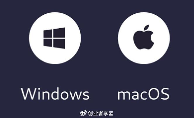 windows/mac官网入口图标
