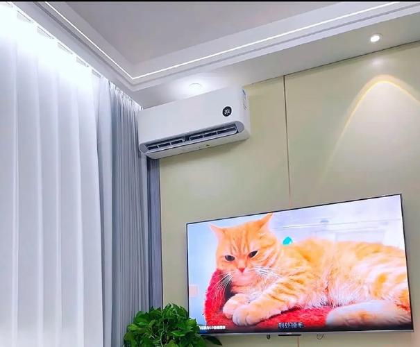 客厅装挂机空调效果图缩略图