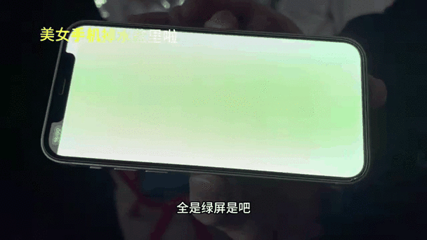 苹果突然绿屏一招恢复图标