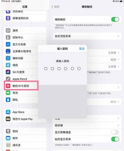 苹果ipad怎么取消锁屏密码怎么设置游戏截图
