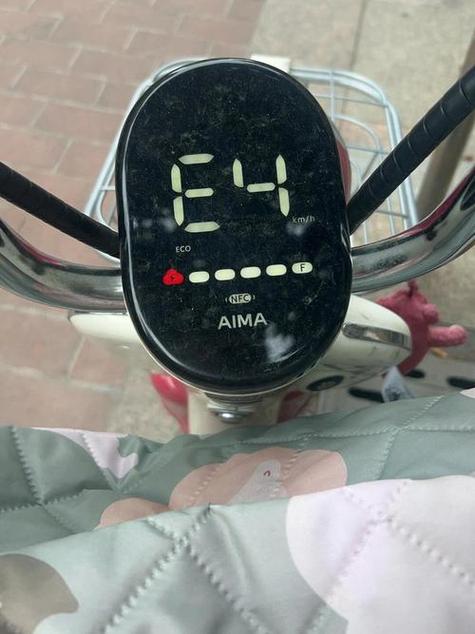 雅迪电瓶车显示e4是什么意思游戏截图