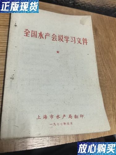 B12区