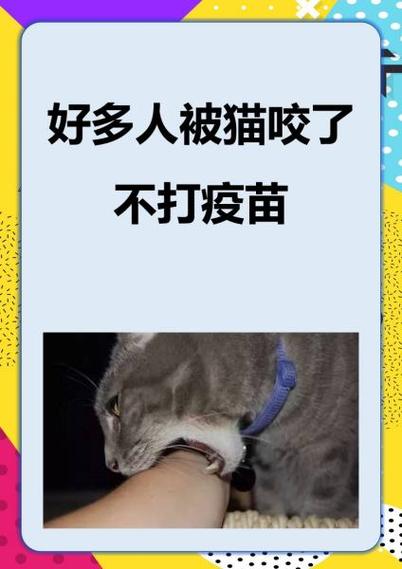 [综]您的狂犬已上线!