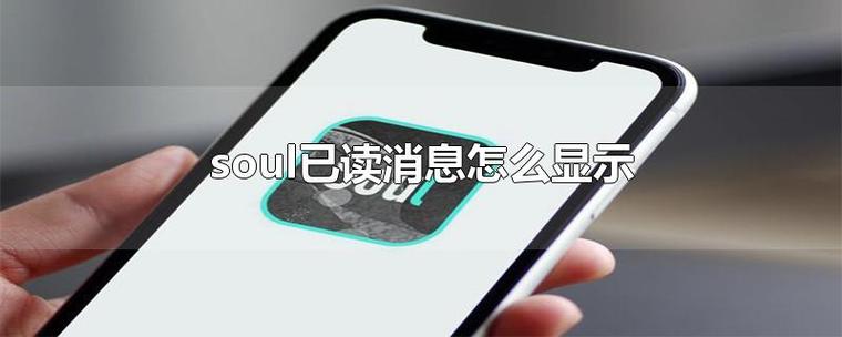 soul明明没有读却显示已读