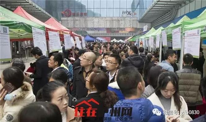 泸州小蚂蚁招聘网最新招聘图标