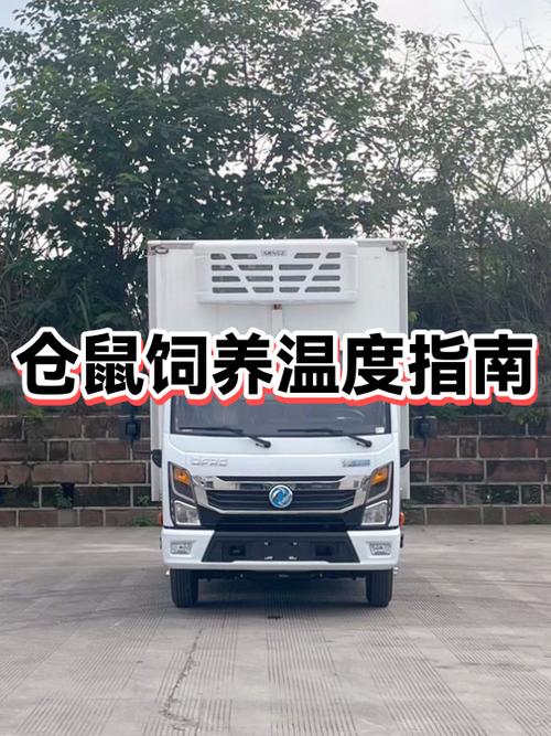 仓鼠晚上被冻了怎么办呢