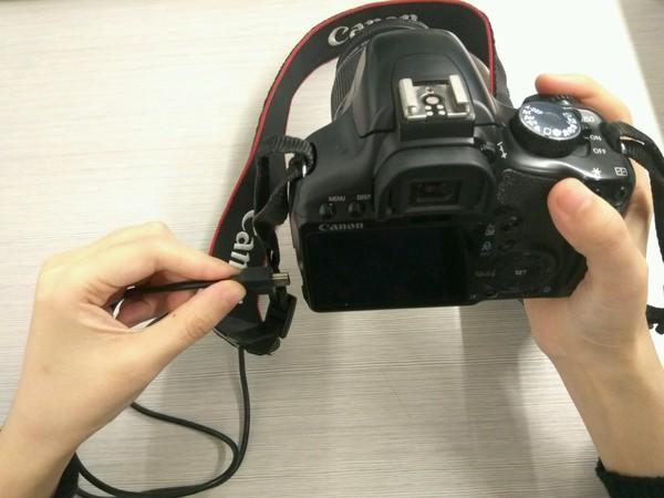 小蜜蜂使用方法及图解