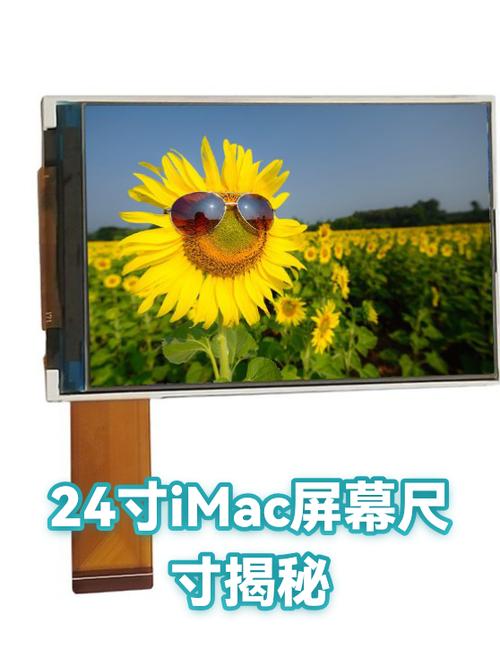 24寸显示屏多大长宽cm缩略图