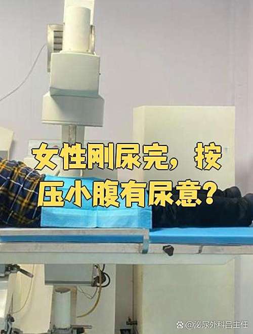 长期按压膀胱排尿图标
