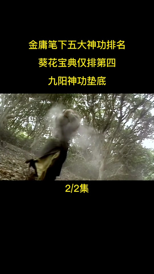 九阴真经 九阳神功游戏截图