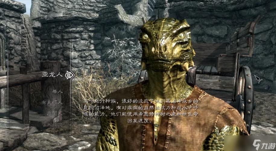 上古卷轴5新手种族选择图标