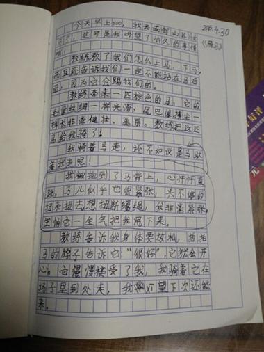 神奇口袋400字优秀作文