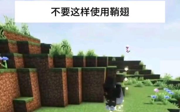我的世界网易鞘翅怎么飞图标