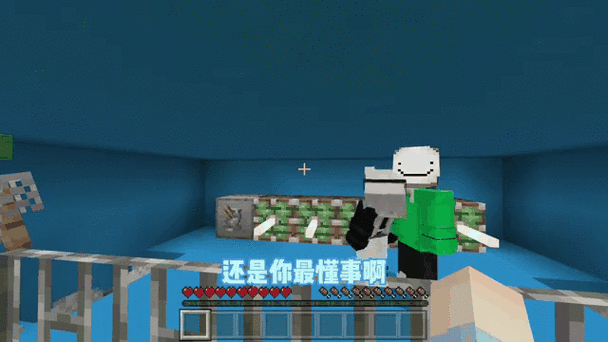 我的世界变性手术阿威8游戏截图