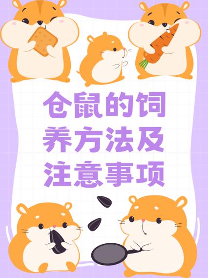 养仓鼠的注意事项20个图标
