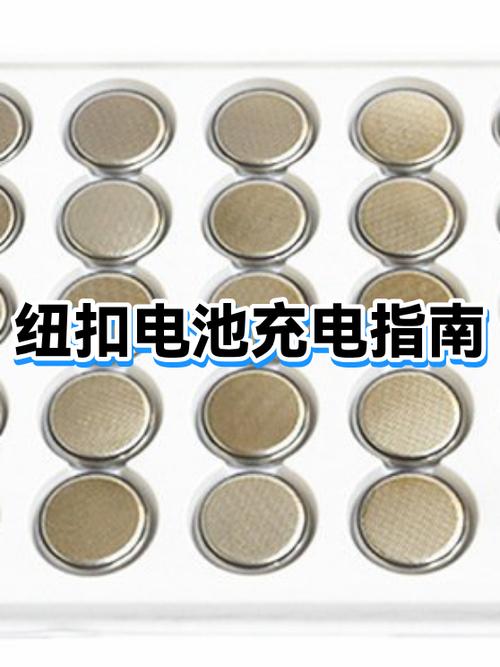纽扣电池怎么充电最好游戏截图