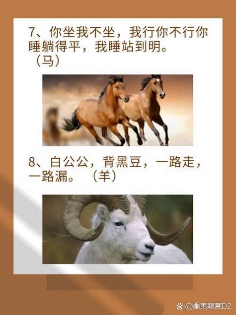 十二生肖趣味谜语大全