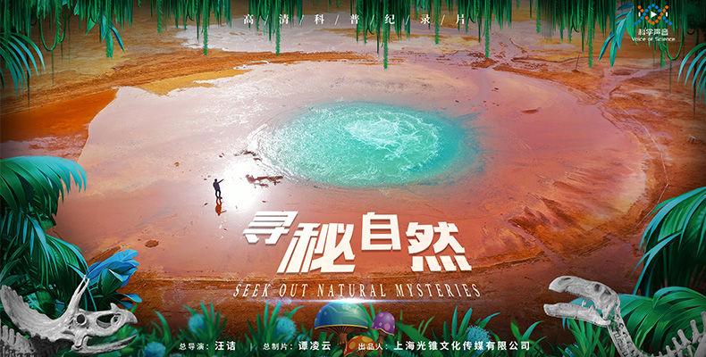 寻觅和寻秘的区别缩略图