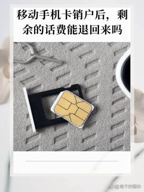 手机卡销户后剩余话费如何退还游戏截图