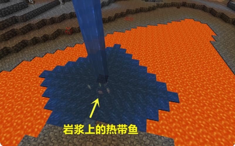 我的世界热带海洋怎么找图标