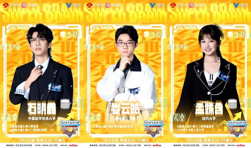 最强大脑第十三季免费观看最新图标