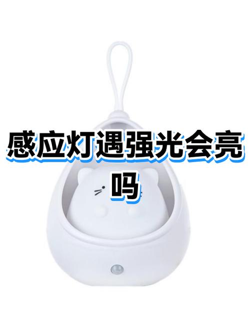 感应灯白天也亮怎么办图标