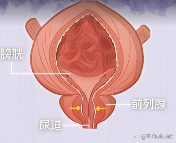 男性尿道狭窄最好的治疗方法图标