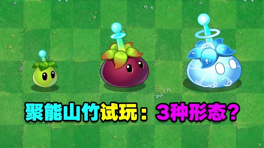 电能山竹属于什么类型植物大战僵尸2缩略图