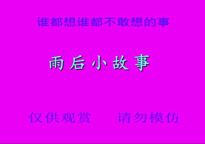 雨后的故事在线观看高清完整版缩略图